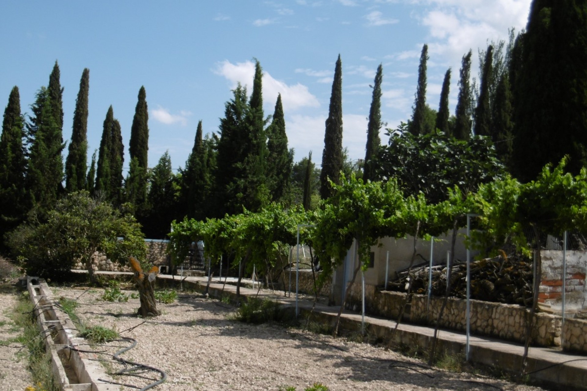 Reventa - Villa -
Yecla - Inland