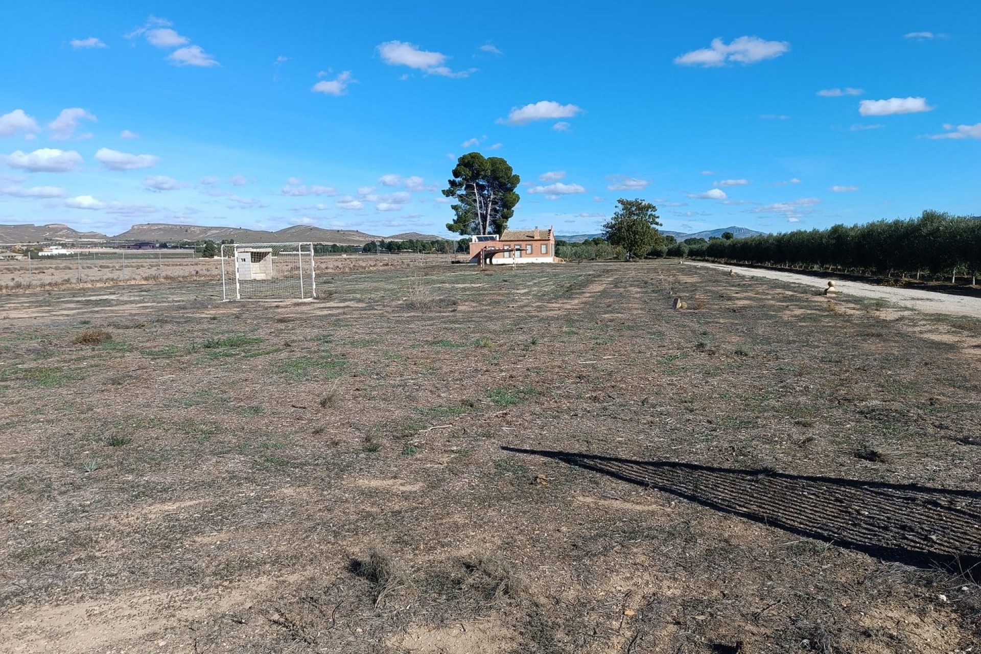 Reventa - Villa -
Yecla - Inland