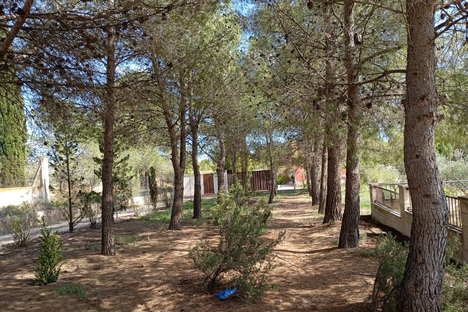 Reventa - Villa -
Yecla - Inland