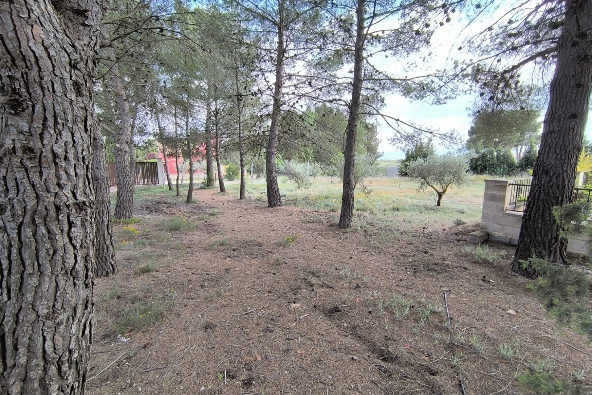 Reventa - Villa -
Yecla - Inland