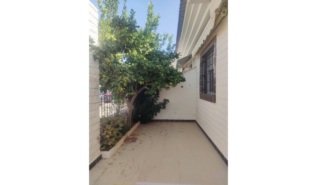 Town House - Reventa - Pilar de la Horadada - BO-94111