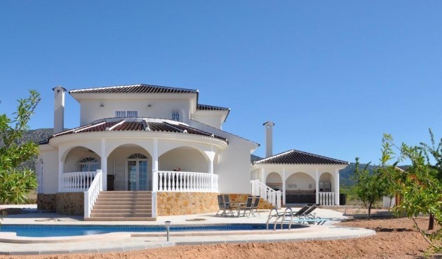 Villa - New Build - Pinoso - Lel