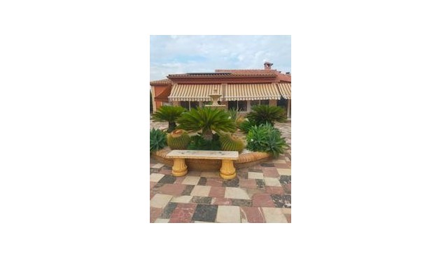 Villa - Resale - Elche - BO-11573