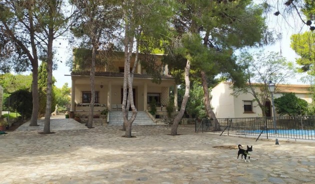 Villa - Resale - Torrevieja - Los Balcones