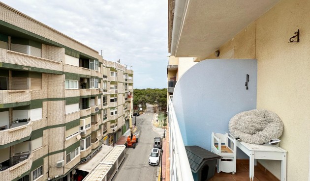 Återförsäljning - Apartment -
Guardamar del Segura - Centro