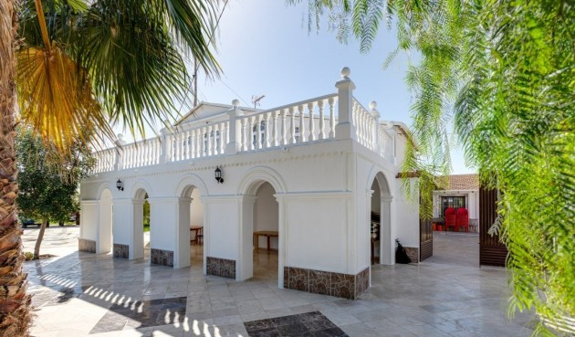 Återförsäljning - Villa -
La Marina - Alicante