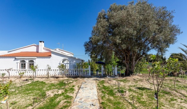 Resale - Villa -
La Marina - Alicante