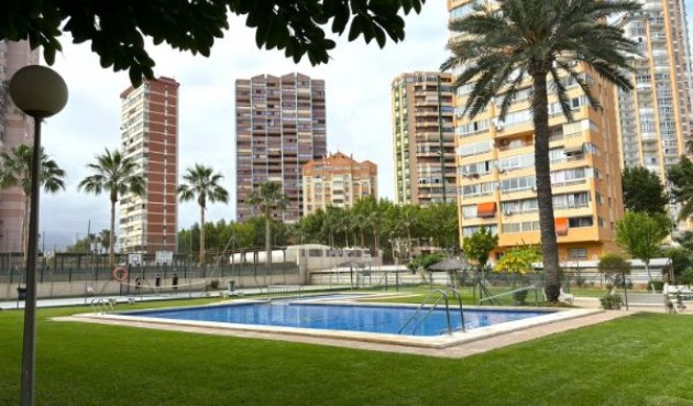 Återförsäljning - Apartment -
Benidorm - Costa Blanca