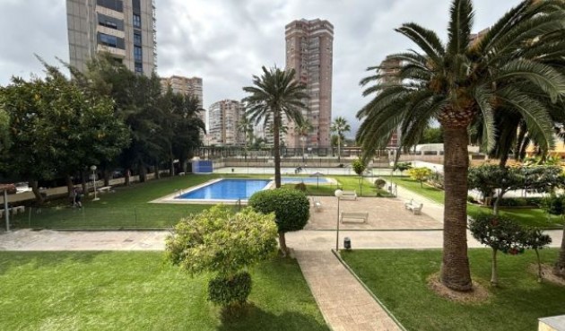 Resale - Apartment -
Benidorm - Costa Blanca