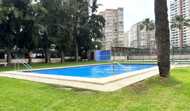 Reventa - Apartment -
Benidorm - Costa Blanca