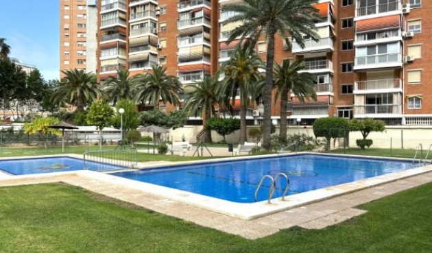 Resale - Apartment -
Benidorm - Costa Blanca