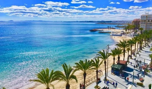 Nybygg - Toppleilighet -
Torrevieja - Playa de los Locos