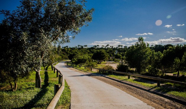 Obra nueva - Villa -
Rojales - Ciudad Quesada