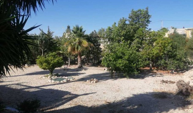 Resale - Villa -
Albatera - Inland