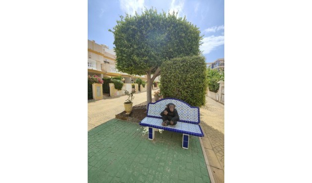 Brukt - Apartment -
Orihuela Costa - Campoamor