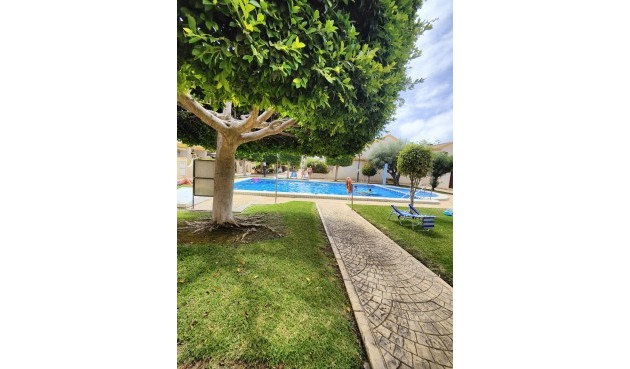 Brukt - Apartment -
Orihuela Costa - Campoamor