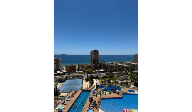 Brukt - Apartment -
Benidorm - Costa Blanca