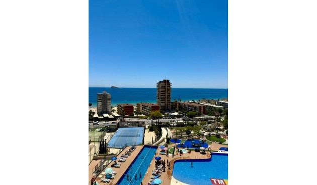 Reventa - Apartment -
Benidorm - Costa Blanca