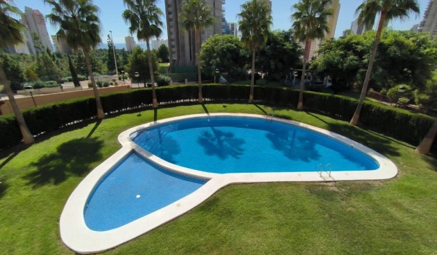 Återförsäljning - Apartment -
Benidorm - Costa Blanca