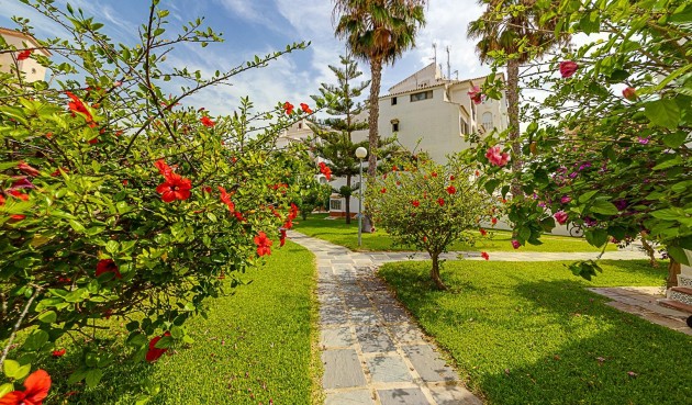 Återförsäljning - Duplex -
Torrevieja - Calas Blanca