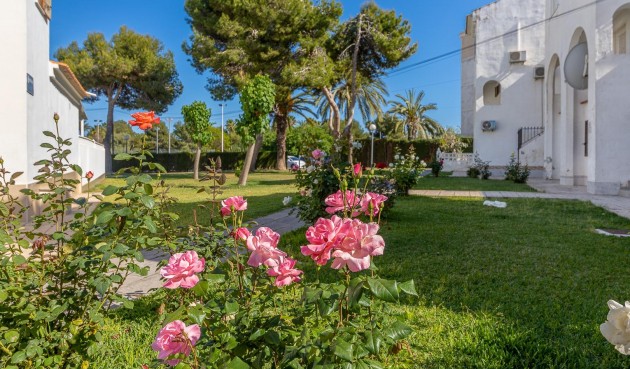 Brukt - Tosidig -
Torrevieja - Calas Blanca