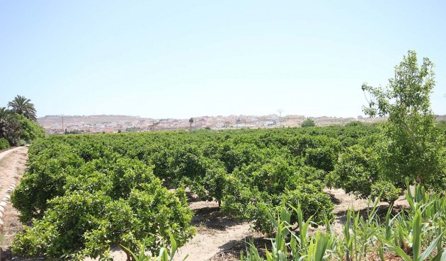 Återförsäljning - Villa -
Benijofar - Costa Blanca