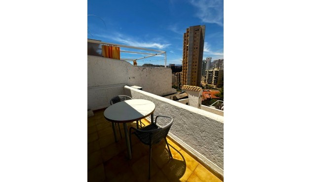 Återförsäljning - Apartment -
Benidorm - Costa Blanca