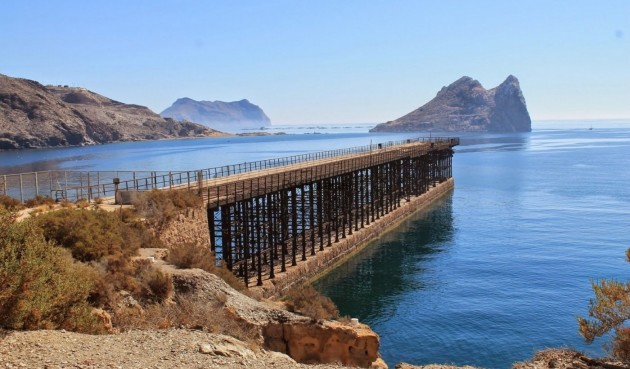 Obra nueva - Ático -
Aguilas - Isla Del Fraile