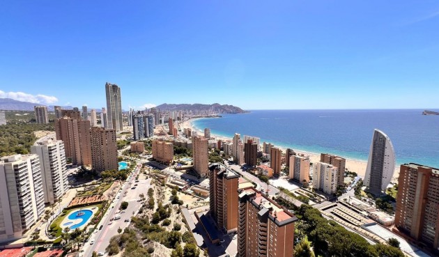 Återförsäljning - Apartment -
Benidorm - Poniente