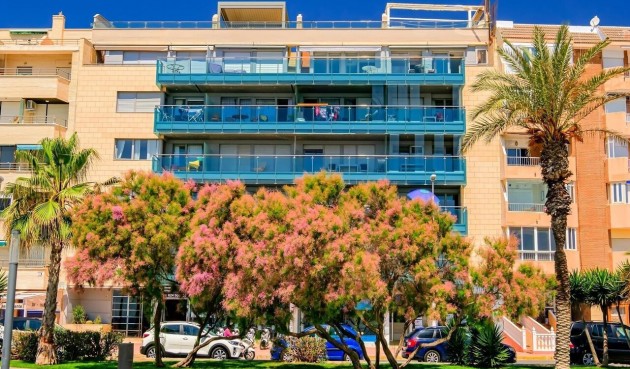 Återförsäljning - Apartment -
Torrevieja - Costa Blanca