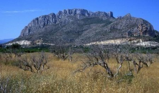 Nybygg - Toppleilighet -
El Verger - Zona De La Playa