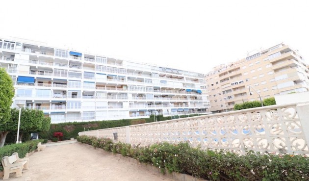 Återförsäljning - Apartment -
Torrevieja - Costa Blanca