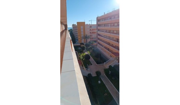 Återförsäljning - Apartment -
Torrevieja - Punta Prima