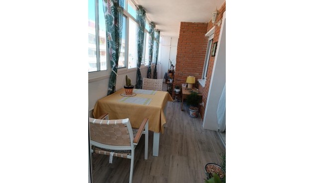 Återförsäljning - Apartment -
Torrevieja - Punta Prima