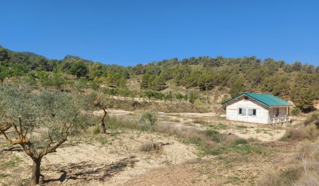 Återförsäljning - Villa -
Jumilla - Inland