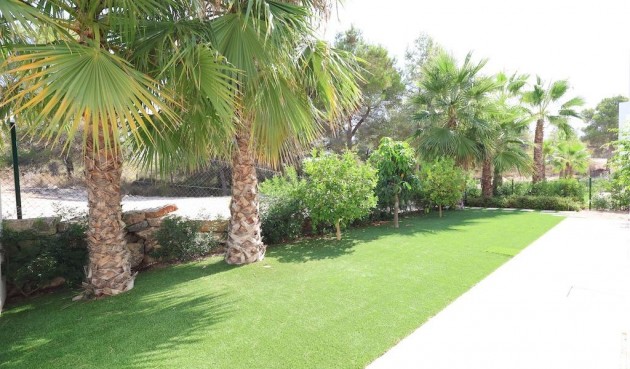 Resale - Villa -
San Miguel de Salinas - Inland