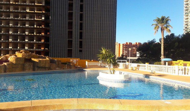 Återförsäljning - Apartment -
Benidorm - Costa Blanca