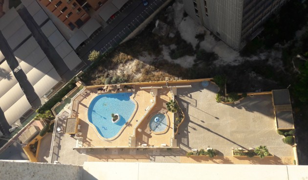 Återförsäljning - Apartment -
Benidorm - Costa Blanca