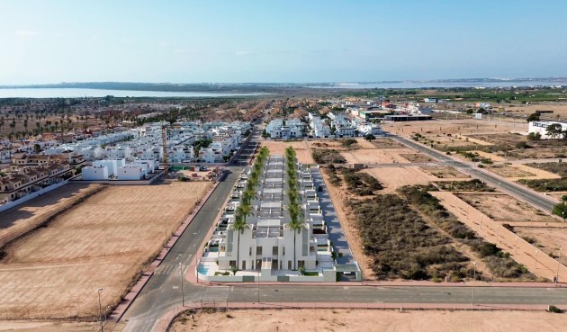 Obra nueva - Quad House -
Rojales - Lo Marabú