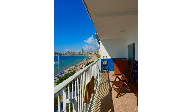 Återförsäljning - Apartment -
Benidorm - Costa Blanca