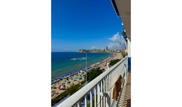 Resale - Apartment -
Benidorm - Costa Blanca