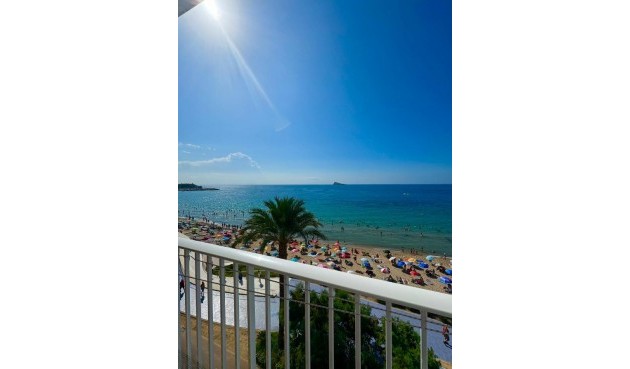 Brukt - Apartment -
Benidorm - Costa Blanca