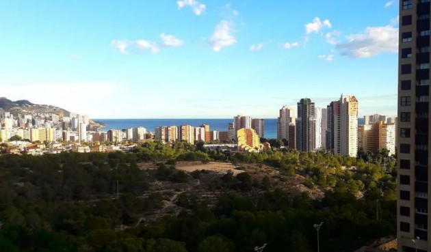 Återförsäljning - Apartment -
Benidorm - Costa Blanca