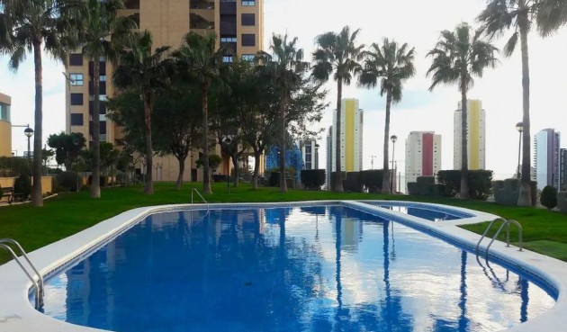 Resale - Apartment -
Benidorm - Costa Blanca