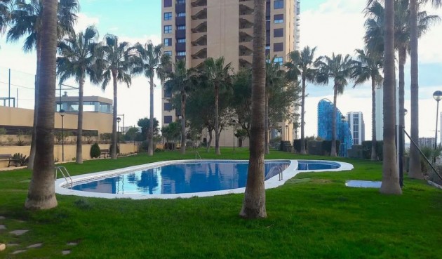 Resale - Apartment -
Benidorm - Costa Blanca