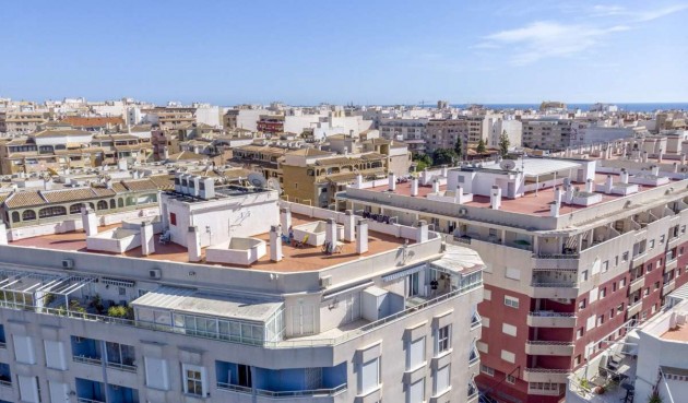 Återförsäljning - Apartment -
Torrevieja - Costa Blanca