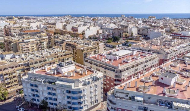 Återförsäljning - Apartment -
Torrevieja - Costa Blanca