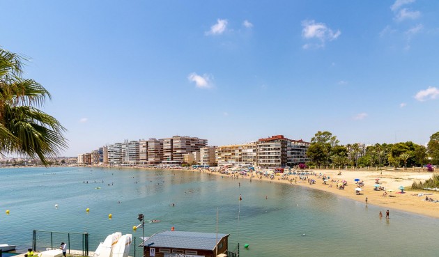 Återförsäljning - Bungalow -
Torrevieja - Costa Blanca