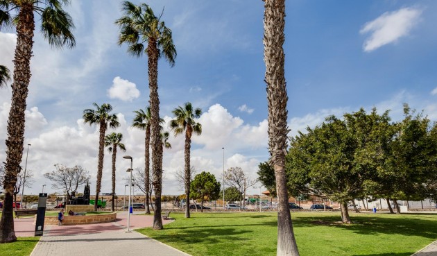 Återförsäljning - Bungalow -
Torrevieja - Costa Blanca