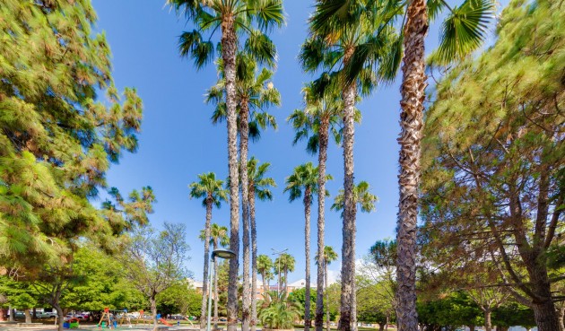 Återförsäljning - Bungalow -
Torrevieja - Costa Blanca